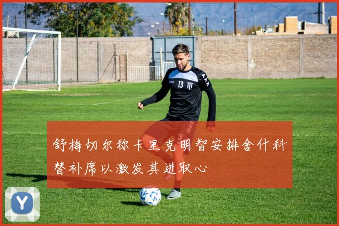 舒梅切尔称卡里克明智安排舍什科替补席以激发其进取心