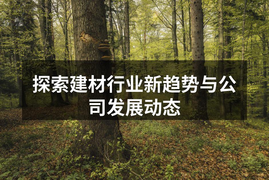 探索建材行业新趋势与公司发展动态